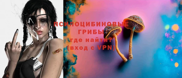 ГАЛЛЮЦИНОГЕННЫЕ ГРИБЫ Балабаново