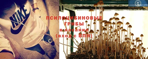 ГАЛЛЮЦИНОГЕННЫЕ ГРИБЫ Балабаново